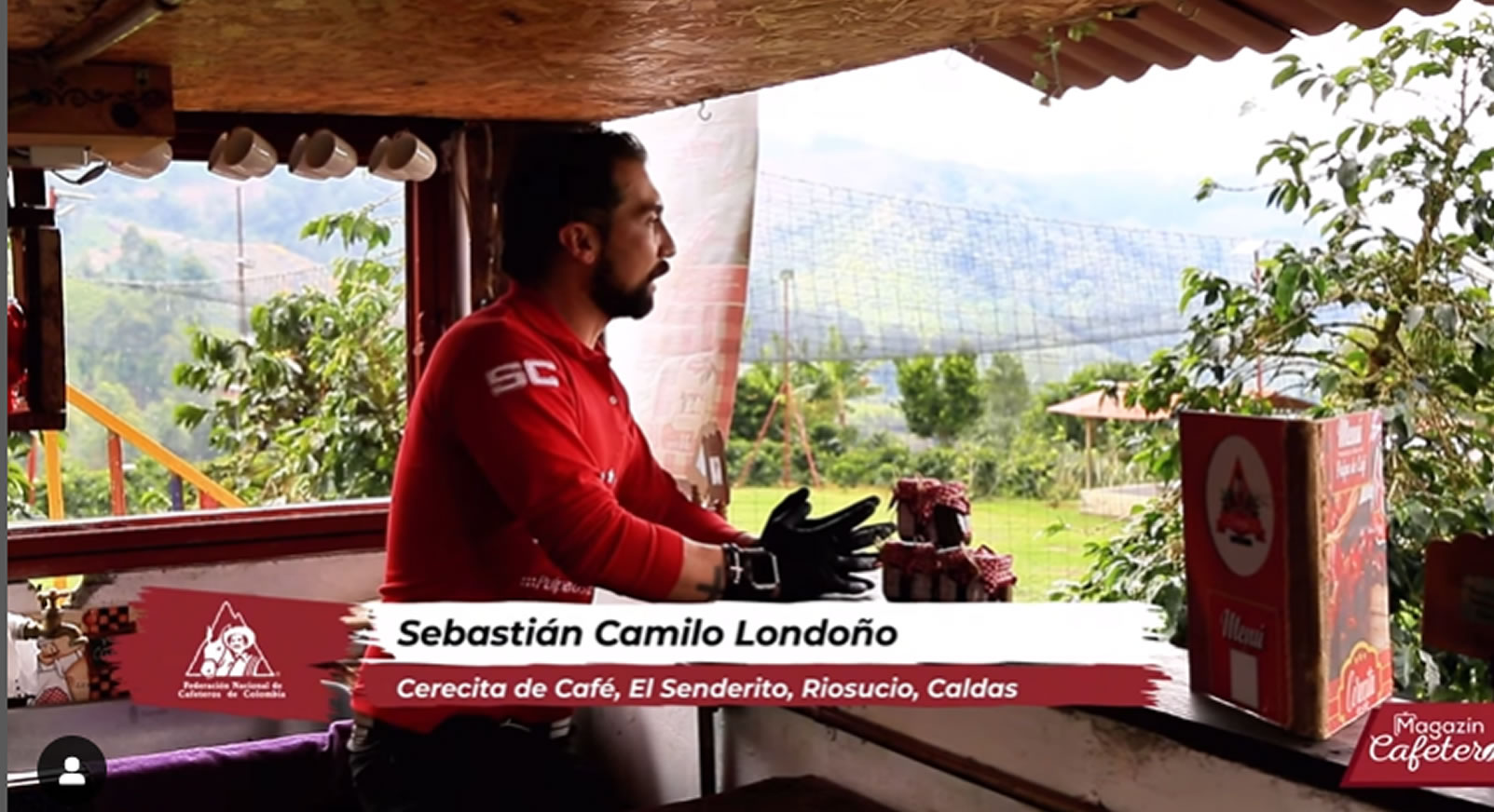  @Cerecita de café -SC